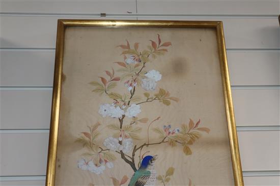 Chinese School, pair of gouache on silk, Studies of birds on flowering trees, 80 x 34cm